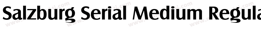 Salzburg Serial Medium Regular字体转换